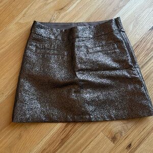 Never worn! Brown sparkly skirt from Gap